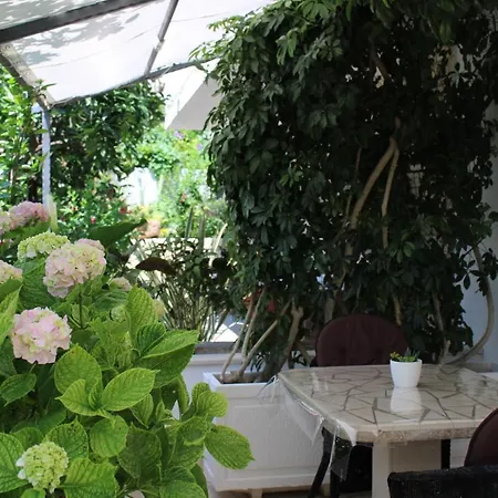 Maison d'hôtes & Anita