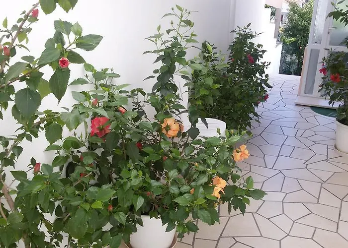 Guest house & Anita Hvar Town