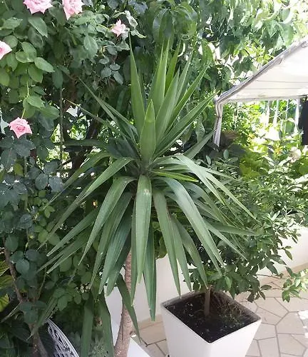 & Anita Guest house 3*