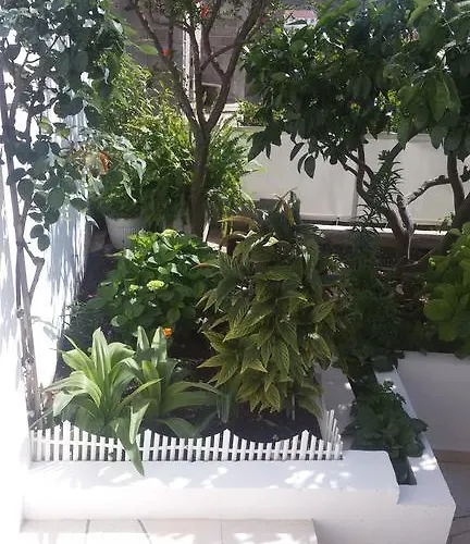 Guest house & Anita Hvar Town