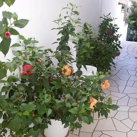 招待所 & Anita 赫瓦尔