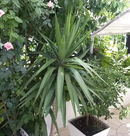 & Anita 招待所 3*