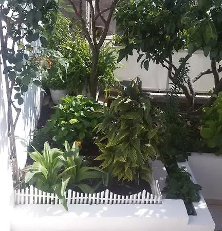 招待所 & Anita 赫瓦尔